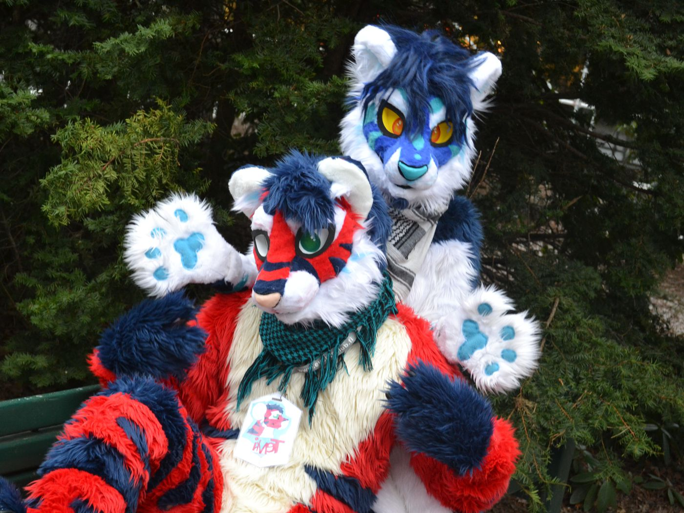 Happy furry couple success story